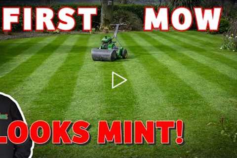 Cutting my lawn for the first time with a cylinder mower (35mm - 20mm) John Deere mower / Ryan Knorr