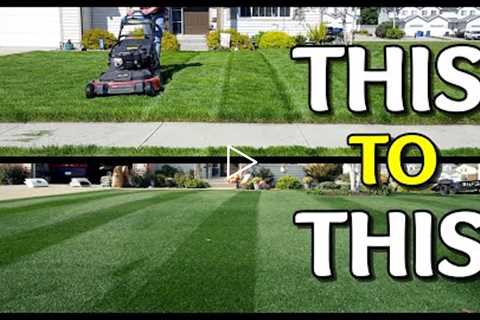 How I TRANSFORMED My Lawn // Tall Cut Grass to Short Cut Grass