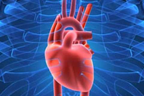 Discovery opens a new way to regulate blood pressure