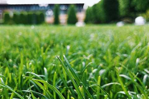 10 Signs Your Lawn Mower Blade Needs Sharpening