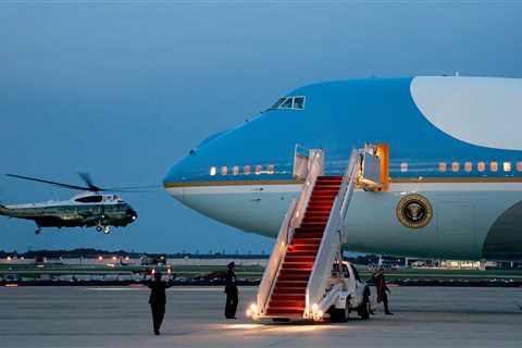 Cicadas Took On Biden’s Press Plane. They Won.
