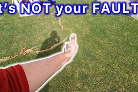You CAN'T control everything in LAWN CARE! // My lawn doesn't look great right now but will soon!