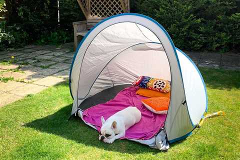 8 Ways To Make Your Cabin Pet Friendly