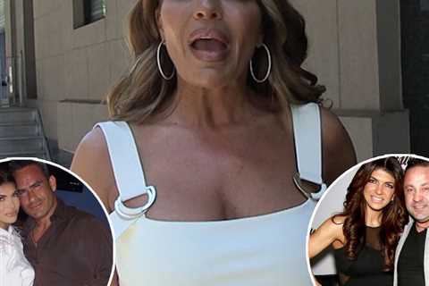 Dolores Catania Says Teresa Giudice is Happier with New Man Luis Than She Ever Was With Joe..