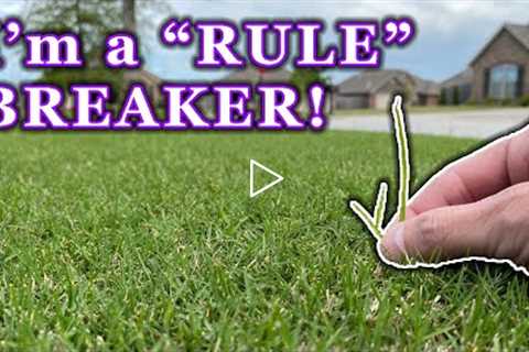 Following Every Lawn Care Rule is Boring // 5 DIY Lawn Tips I Don't Follow &amp; Still Have a Nice..