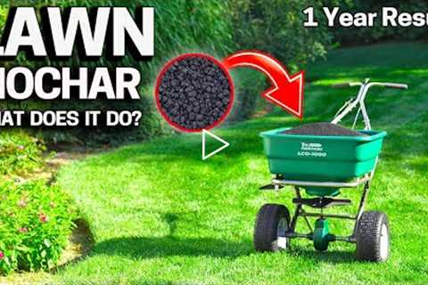 Does BIOCHAR for LAWNS WORK? 1 Year RESULT!