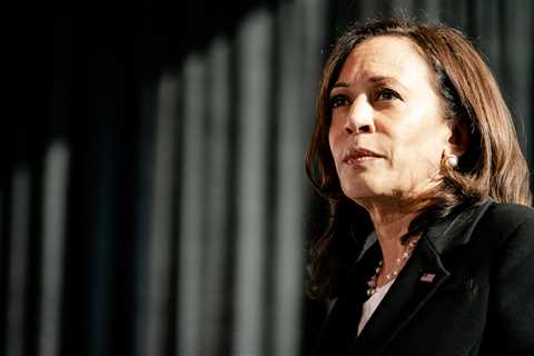 Kamala Harris’s Vice Presidency Is Coming Into Focus. Everyone Has an Opinion About What They See.