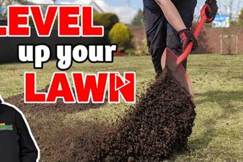 how to level a lawn | level up your lawn today