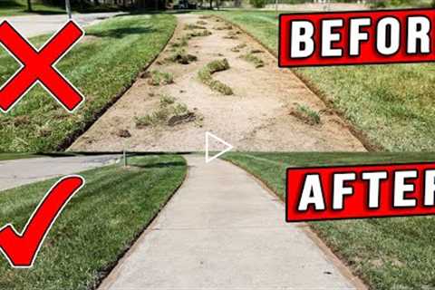 10 Years Of Overgrown Lawn Edges Cleaned Up In 10 Minutes!
