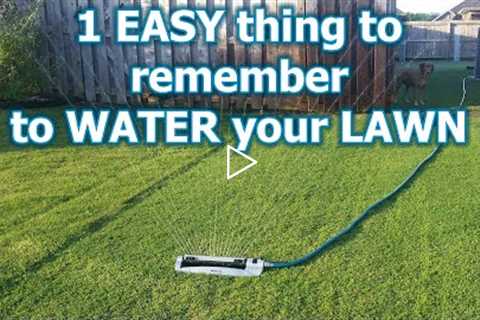 4 Simple Tips to Water Your Lawn the Right Way // Watering grass isn't that hard so stop stressing!