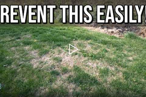 ONE EASY STEP To PREVENT Summer Damage