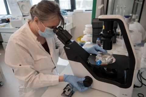 Mother of invention: Study highlights gender gap in health innovations