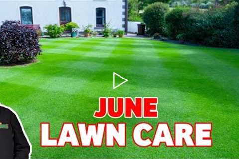 Lawn care tips for June | My TOP 5 TIPS for the PERFECT lawn