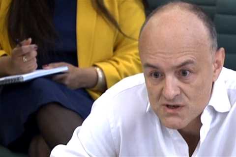 Dominic Cummings launches full-scale attack on Goverment’s Covid response
