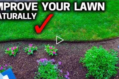 4 EASY Secrets To Keep Your LAWN GREEN &amp; Healthy NATURALLY!