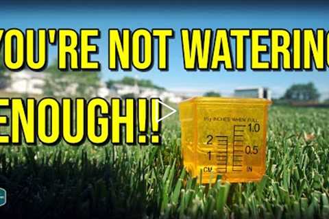 Here's WHY You're Probably NOT Watering ENOUGH...