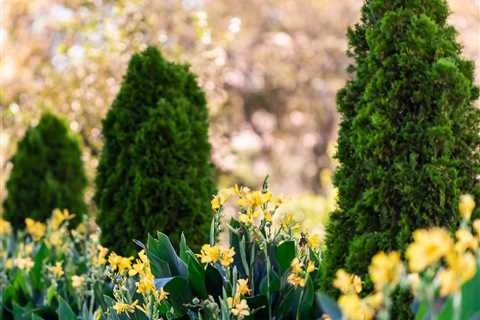Best Landscaping Plants for Around a Pool