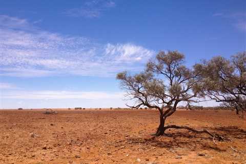 What Does Australia’s Simpson Desert Offer the Traveler?