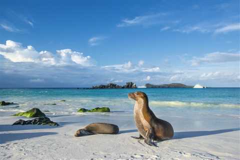 Hurtigruten Announces Galapagos Expedition Cruises