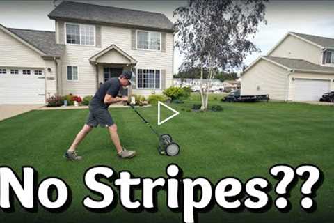 No More STRIPES?? + Property Update
