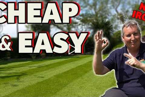 How to green up your lawn in a day or less | Beginner diy lawn tips that WORK