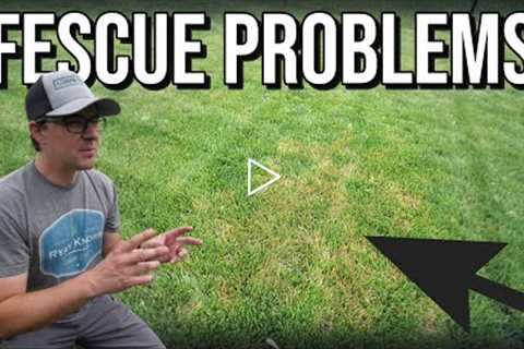 The Fescue STRIKES BACK