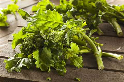 Broccoli Rabe Care – How To Grow And Harvest Rapini
