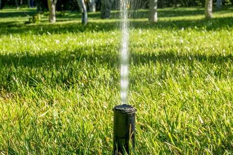 The Biggest Mistakes People Make with Their Yards