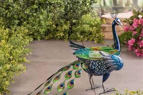15 Best Birdbaths and Fountains