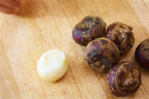 Water Chestnut Care – How To Grow And Harvest Water Chestnuts