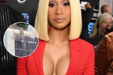 Cardi B Threatens to Shoot Home Invader Eyeing Her Dogs