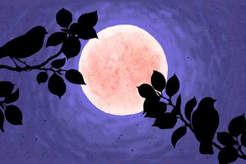 Tips for combatting the emotional effects of this week’s strawberry supermoon
