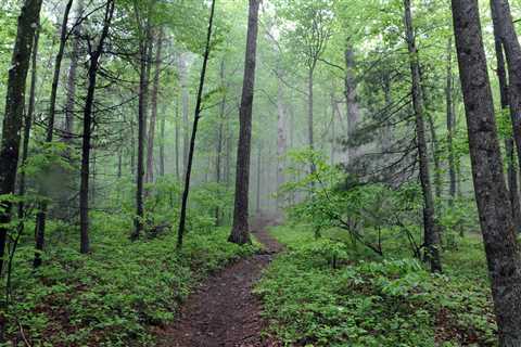 A Biography for the 2,190 Miles of the Appalachian Trail