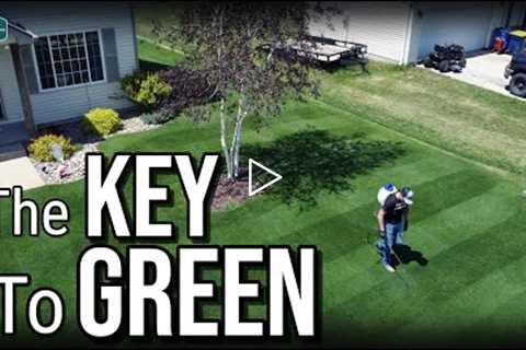 The KEY To CONSISTENT GREEN