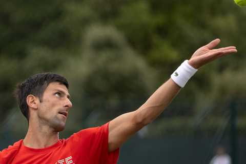 Novak Djokovic Aims to Win at Wimbledon, and His Side Hustle