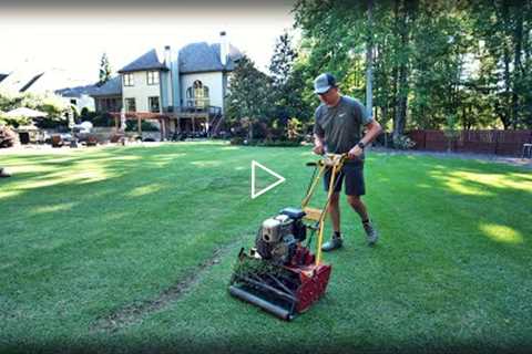 Which MOWER Will Win?