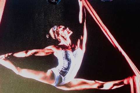 Learn to Soar With Christine Van Loo