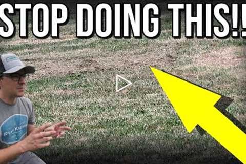 The #1 KEY To A BETTER LAWN