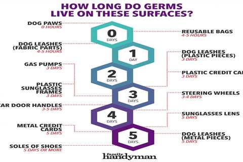 How Long Germs Last on 9 Not-So-Common Surfaces