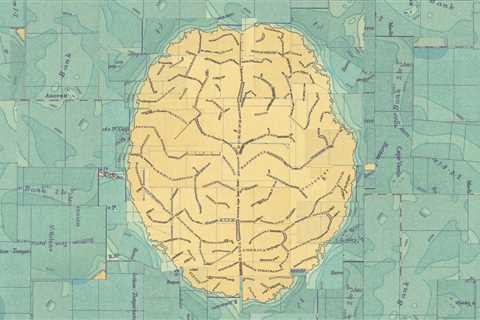 The Maps Our Brains Create