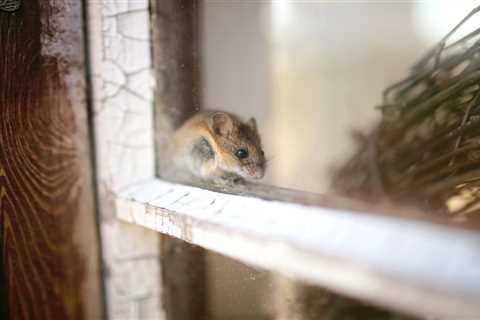 These Are The Most Annoying Pests In Every State