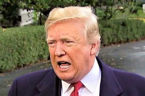 Historians give Trump brutal grades in new survey -- and rank him worse than the president who died ..