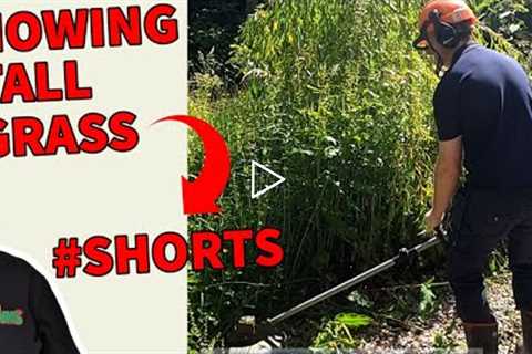 I Took on an OVERGROWN JUNGLE garden and WON #Short