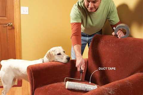 19 Cleaning Tips Every Dog or Cat Owner Should Know