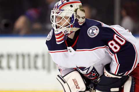 N.H.L. Goalie Dies After Being Hit by Fireworks
