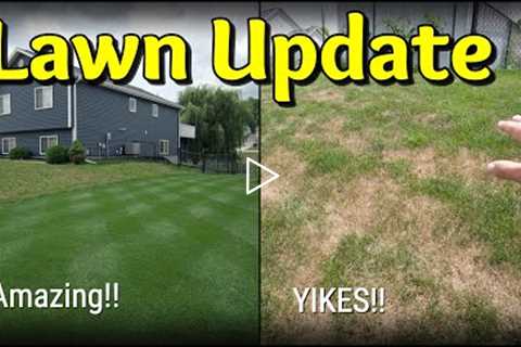 The UPS and DOWNS of Summer Lawn Care
