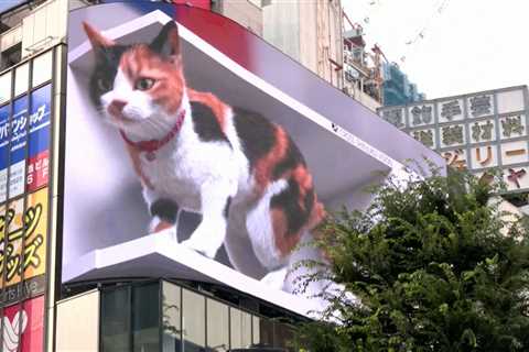A Digital Cat Is Melting Hearts (and Napping a Lot) in Japan