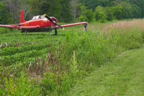 Woman Killed on Ride-On Mower After Getting Hit by Plane