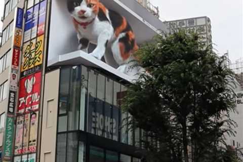 Giant 1,600ft Cat Playfully Terrorizes Tokyo