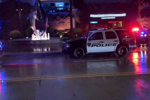 Motive a Mystery as Diner Suddenly Shoots Couple Then Himself at Houston Aquarium